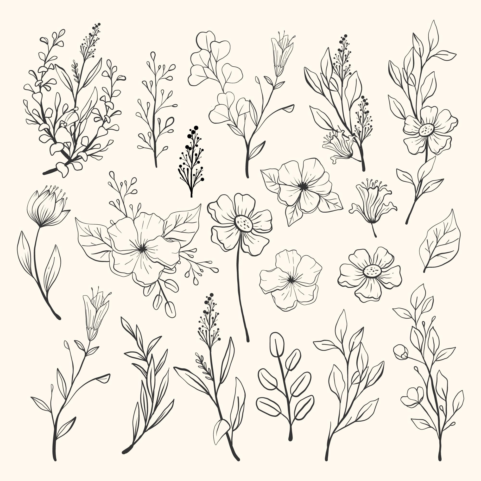 hand-drawn-flower-collection